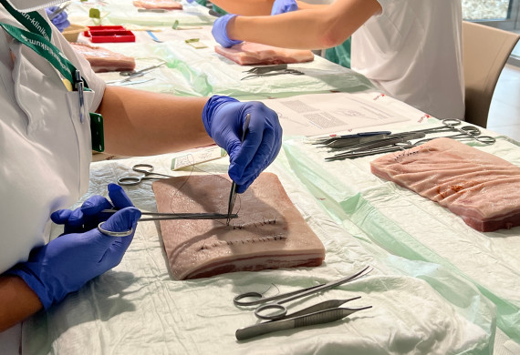An Schweinepräparaten wurden offene chirurgische Nahtechniken für Haut und Gefäße trainiert.