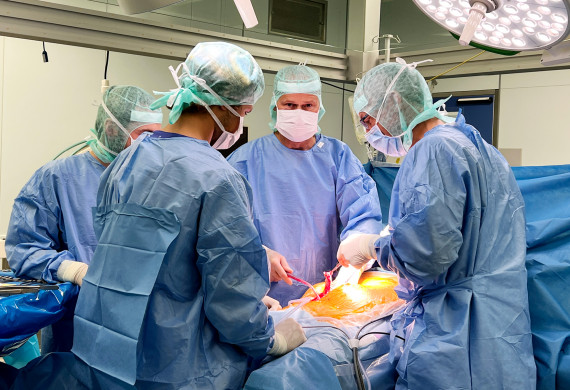 Dr. med. Fröhlich bei der Durchführung einer Zystektomie (Harnblasenentfernung)
